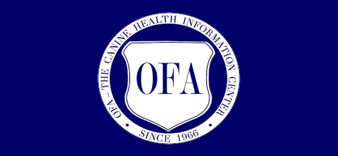 What Is OFA Certification and Why Should You Care?